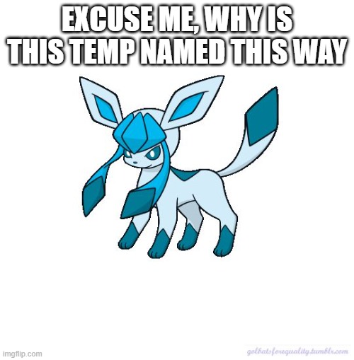 check the tag | EXCUSE ME, WHY IS THIS TEMP NAMED THIS WAY | image tagged in asexual glaceon | made w/ Imgflip meme maker