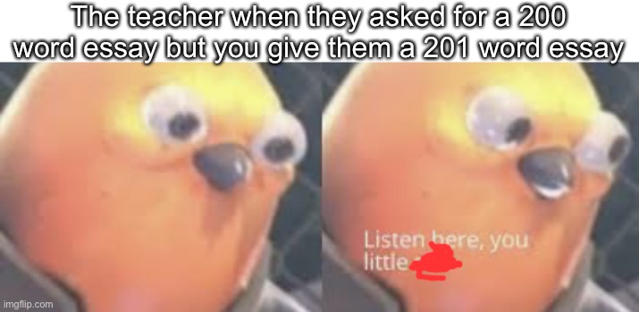 Listen here buckeroo | The teacher when they asked for a 200 word essay but you give them a 201 word essay | image tagged in listen here you little shit bird | made w/ Imgflip meme maker