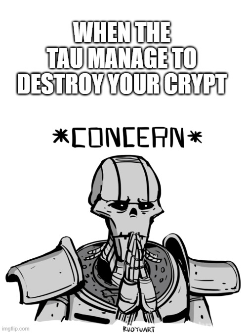 Necron Concern | WHEN THE TAU MANAGE TO DESTROY YOUR CRYPT | image tagged in wh40k,necron,concern | made w/ Imgflip meme maker