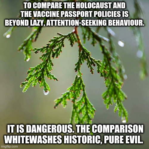 Cedar | TO COMPARE THE HOLOCAUST AND THE VACCINE PASSPORT POLICIES IS BEYOND LAZY, ATTENTION-SEEKING BEHAVIOUR. IT IS DANGEROUS. THE COMPARISON WHITEWASHES HISTORIC, PURE EVIL. | image tagged in cedar | made w/ Imgflip meme maker