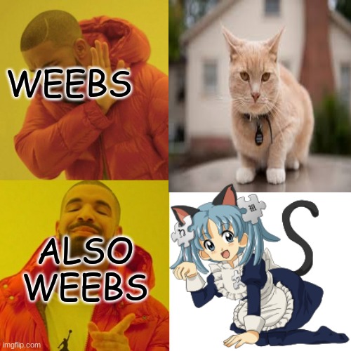 weebs be like | WEEBS; ALSO WEEBS | image tagged in drake hotline bling,cat,anime,meme | made w/ Imgflip meme maker