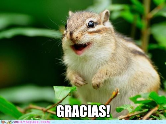 Happy squirrel  | GRACIAS! | image tagged in happy squirrel | made w/ Imgflip meme maker