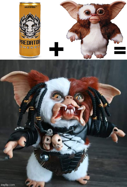 Don't get them wet with this stuff | +; = | image tagged in gizmo,predator | made w/ Imgflip meme maker