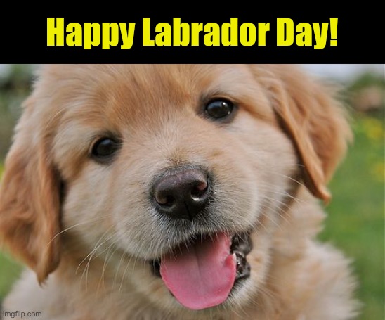 Have a Great Day! | Happy Labrador Day! | made w/ Imgflip meme maker