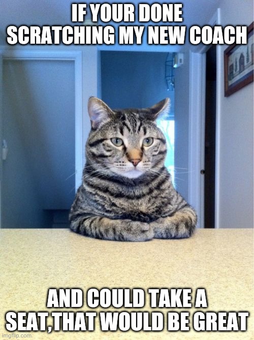 Take A Seat Cat Meme | IF YOUR DONE SCRATCHING MY NEW COACH; AND COULD TAKE A SEAT,THAT WOULD BE GREAT | image tagged in memes,take a seat cat | made w/ Imgflip meme maker