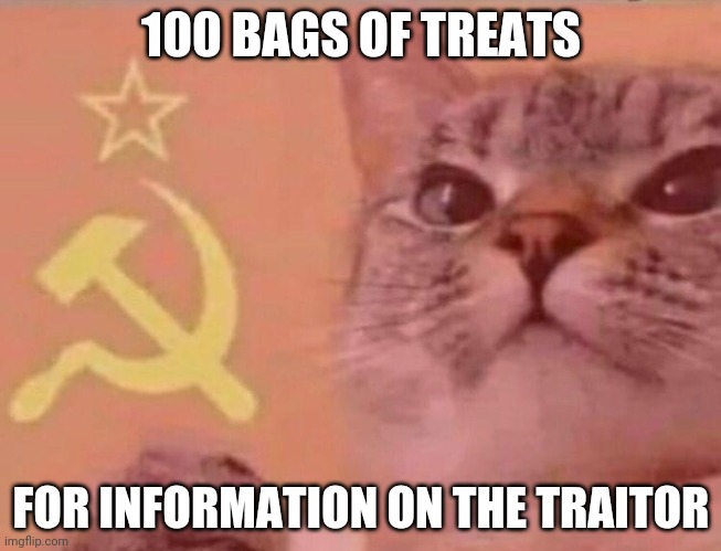 Communist cat |  100 BAGS OF TREATS; FOR INFORMATION ON THE TRAITOR | image tagged in communist cat | made w/ Imgflip meme maker