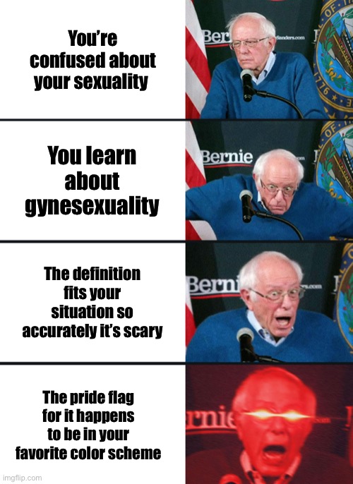 Me like 3 days ago (but I was in the first square for several months before then) | You’re confused about your sexuality; You learn about gynesexuality; The definition fits your situation so accurately it’s scary; The pride flag for it happens to be in your favorite color scheme | image tagged in bernie sanders reaction nuked | made w/ Imgflip meme maker