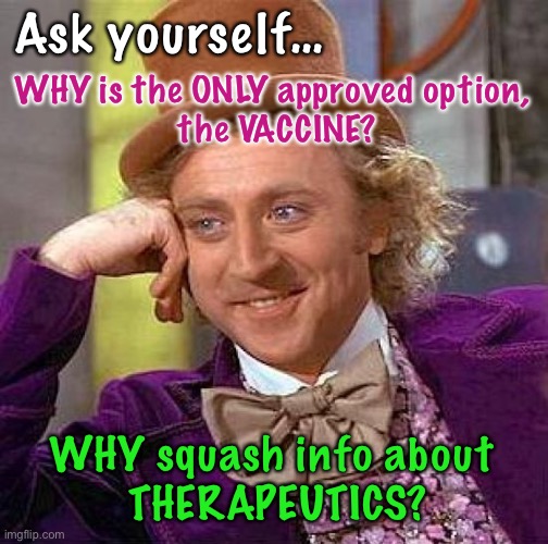 Is HIDING INFORMATION the same as LYING?    I say, Yes.  Why Do THEY Have To Lie? | Ask yourself…; WHY is the ONLY approved option, 
the VACCINE? WHY squash info about 
THERAPEUTICS? | image tagged in memes,creepy condescending wonka,vaccine,alternatives,lies,power money control | made w/ Imgflip meme maker