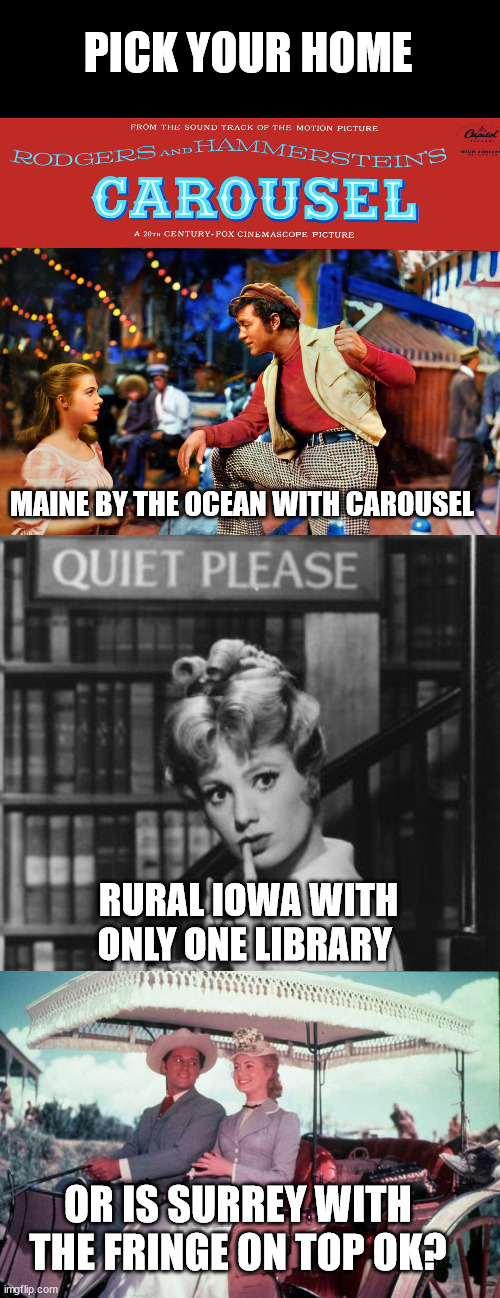 PICK YOUR HOME; MAINE BY THE OCEAN WITH CAROUSEL; RURAL IOWA WITH ONLY ONE LIBRARY; OR IS SURREY WITH THE FRINGE ON TOP OK? | image tagged in shirley jones,the music man,carousel,oklahoma | made w/ Imgflip meme maker