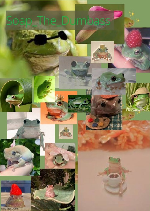 soap's frog temp Blank Meme Template