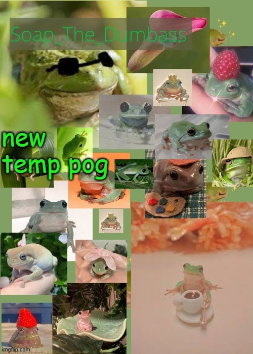 soap's frog temp | new temp pog | image tagged in soap's frog temp | made w/ Imgflip meme maker