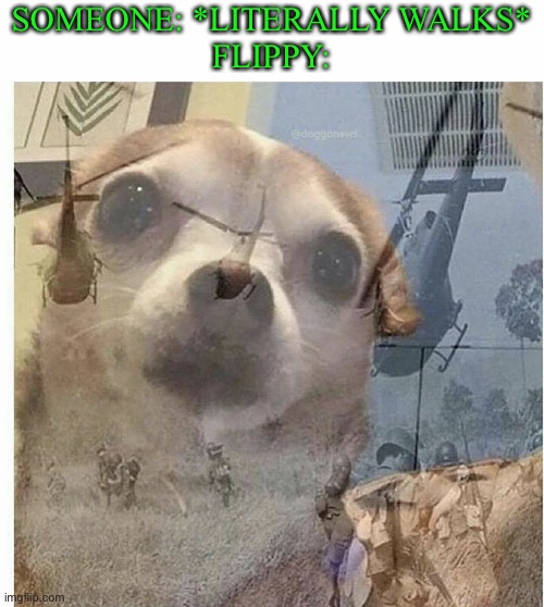 SOMEONE: *LITERALLY WALKS*
FLIPPY: | image tagged in white text box,ptsd chihuahua,happy tree friends,ptsd,funny,memes | made w/ Imgflip meme maker