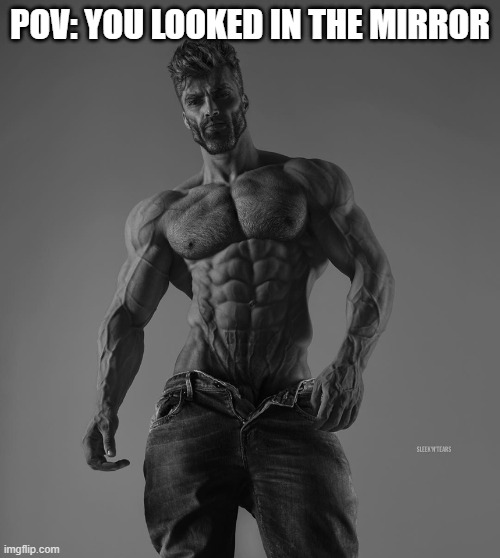 giga chad | POV: YOU LOOKED IN THE MIRROR | image tagged in giga chad | made w/ Imgflip meme maker