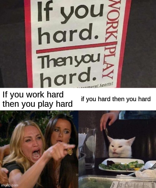 If you work hard then you play hard; if you hard then you hard | image tagged in memes,woman yelling at cat | made w/ Imgflip meme maker