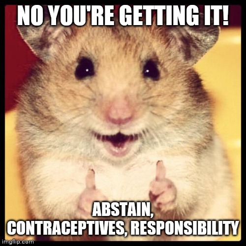 good job guys | NO YOU'RE GETTING IT! ABSTAIN, CONTRACEPTIVES, RESPONSIBILITY | image tagged in good job guys | made w/ Imgflip meme maker