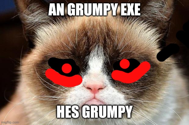 Grumpy cat as an exe | AN GRUMPY EXE; HES GRUMPY | image tagged in memes,grumpy cat not amused,grumpy cat | made w/ Imgflip meme maker