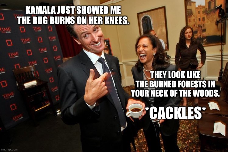Sick burns |  KAMALA JUST SHOWED ME THE RUG BURNS ON HER KNEES. THEY LOOK LIKE THE BURNED FORESTS IN YOUR NECK OF THE WOODS. *CACKLES* | image tagged in gavin newsom kamala harris,memes,wildfires,rug,burn,bad joke | made w/ Imgflip meme maker