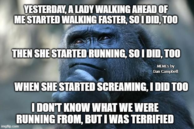 Deep Thoughts | YESTERDAY, A LADY WALKING AHEAD OF ME STARTED WALKING FASTER, SO I DID, TOO; THEN SHE STARTED RUNNING, SO I DID, TOO; MEMEs by Dan Campbell; WHEN SHE STARTED SCREAMING, I DID TOO; I DON'T KNOW WHAT WE WERE RUNNING FROM, BUT I WAS TERRIFIED | image tagged in deep thoughts | made w/ Imgflip meme maker