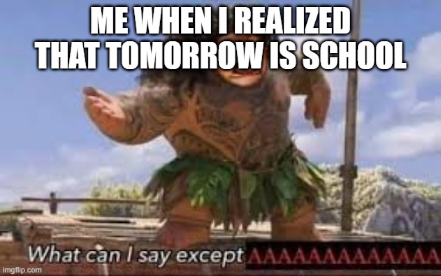 What can i say except aaaaaaaaaaa | ME WHEN I REALIZED THAT TOMORROW IS SCHOOL | image tagged in what can i say except aaaaaaaaaaa,school,i hate school | made w/ Imgflip meme maker