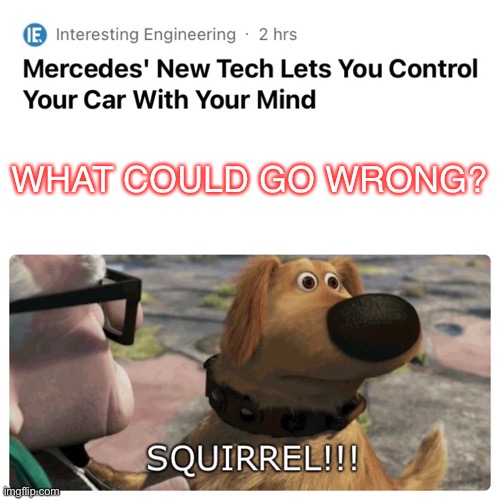 Dog Squirrel |  WHAT COULD GO WRONG? | image tagged in dogs,squirrel,artificial intelligence,cars,computers | made w/ Imgflip meme maker