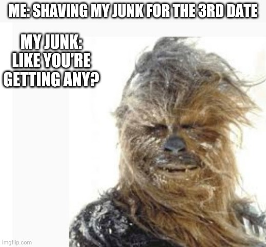 ME: SHAVING MY JUNK FOR THE 3RD DATE; MY JUNK: LIKE YOU'RE GETTING ANY? | image tagged in funny memes | made w/ Imgflip meme maker