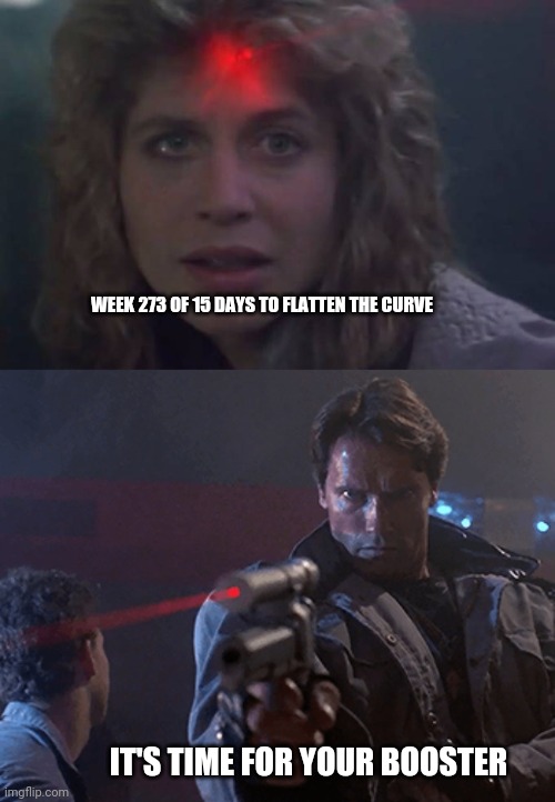 Ayyyyyyye-Yoooooooo! | WEEK 273 OF 15 DAYS TO FLATTEN THE CURVE; IT'S TIME FOR YOUR BOOSTER | image tagged in terminator,covid-19,flat,delta | made w/ Imgflip meme maker