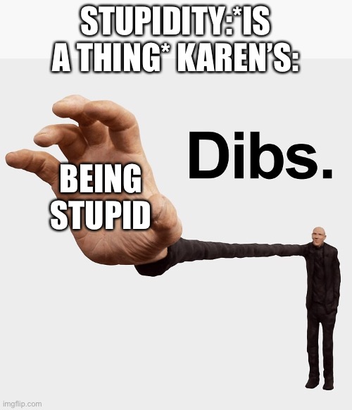 Dibs | STUPIDITY:*IS A THING* KAREN’S: BEING STUPID | image tagged in dibs | made w/ Imgflip meme maker
