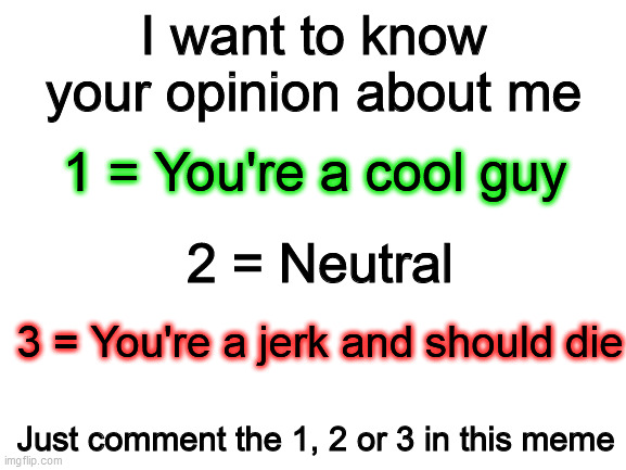 Just a random meme I wanted to make | I want to know your opinion about me; 1 = You're a cool guy; 2 = Neutral; 3 = You're a jerk and should die; Just comment the 1, 2 or 3 in this meme | image tagged in blank white template | made w/ Imgflip meme maker