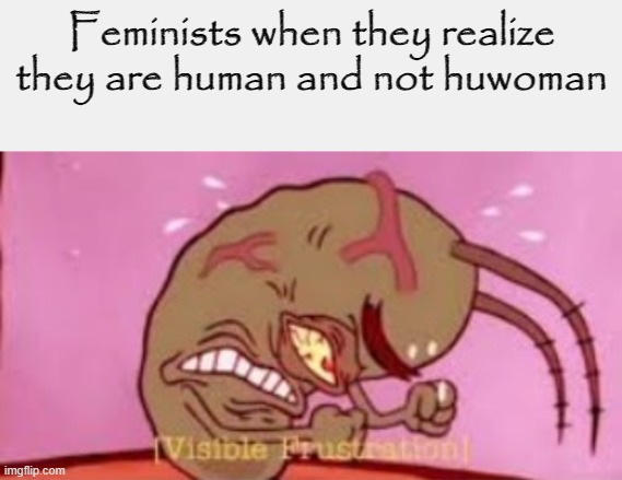 *VISIBLE FRUSTRATION* | Feminists when they realize
they are human and not huwoman | image tagged in visible frustration | made w/ Imgflip meme maker