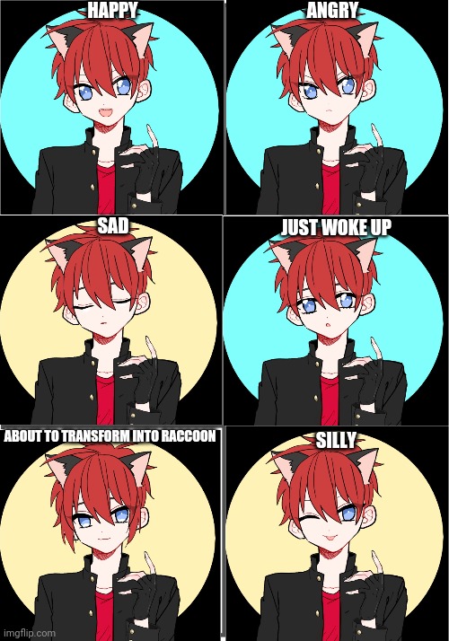 Ren's emotions (oc emotion chart #3) | HAPPY; ANGRY; SAD; JUST WOKE UP; ABOUT TO TRANSFORM INTO RACCOON; SILLY | image tagged in blank comic panel 2x3 | made w/ Imgflip meme maker