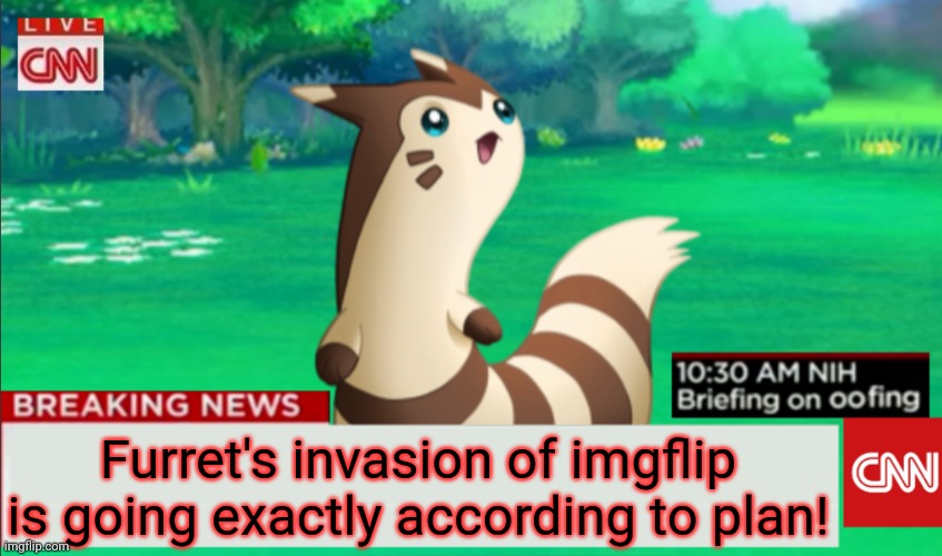 Breaking News Furret | Furret's invasion of imgflip is going exactly according to plan! | image tagged in breaking news furret | made w/ Imgflip meme maker