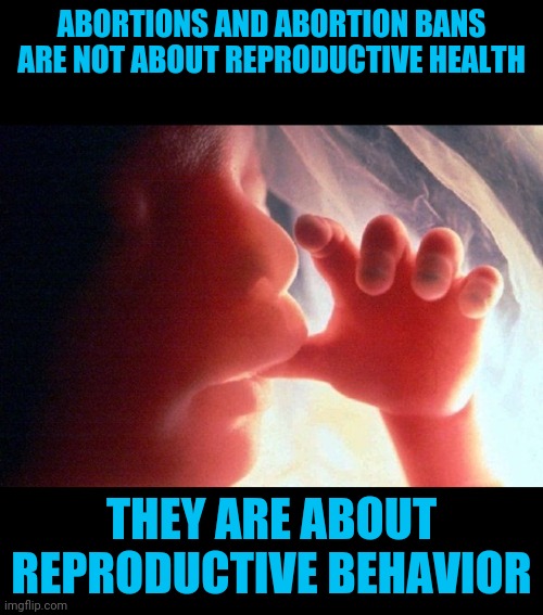 Enough Slick Terminology | ABORTIONS AND ABORTION BANS ARE NOT ABOUT REPRODUCTIVE HEALTH; THEY ARE ABOUT REPRODUCTIVE BEHAVIOR | image tagged in abortion | made w/ Imgflip meme maker