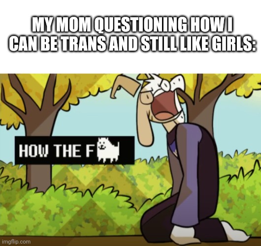 MY MOM QUESTIONING HOW I CAN BE TRANS AND STILL LIKE GIRLS: | image tagged in blank white template,how the fu- | made w/ Imgflip meme maker