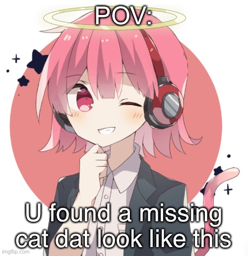 Most cutest cat | POV:; U found a missing cat dat look like this | image tagged in most cutest cat | made w/ Imgflip meme maker