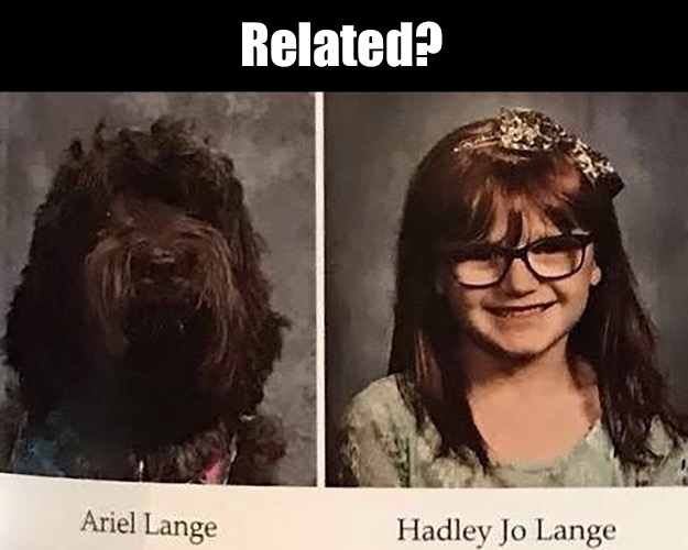 Related? | made w/ Imgflip meme maker