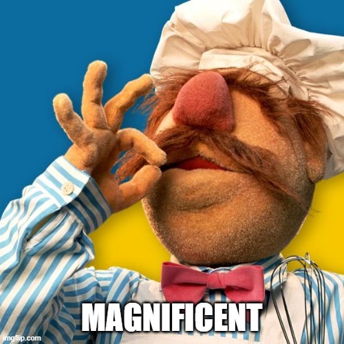 Swedish Chef | MAGNIFICENT | image tagged in swedish chef | made w/ Imgflip meme maker