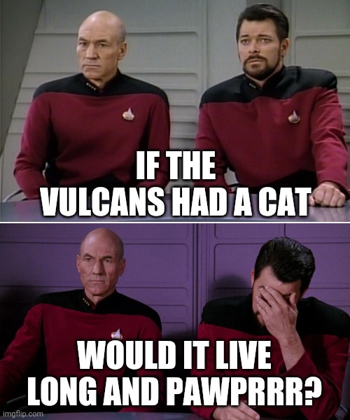 Picard Riker listening to a pun | IF THE VULCANS HAD A CAT; WOULD IT LIVE LONG AND PAWPRRR? | image tagged in picard riker listening to a pun | made w/ Imgflip meme maker