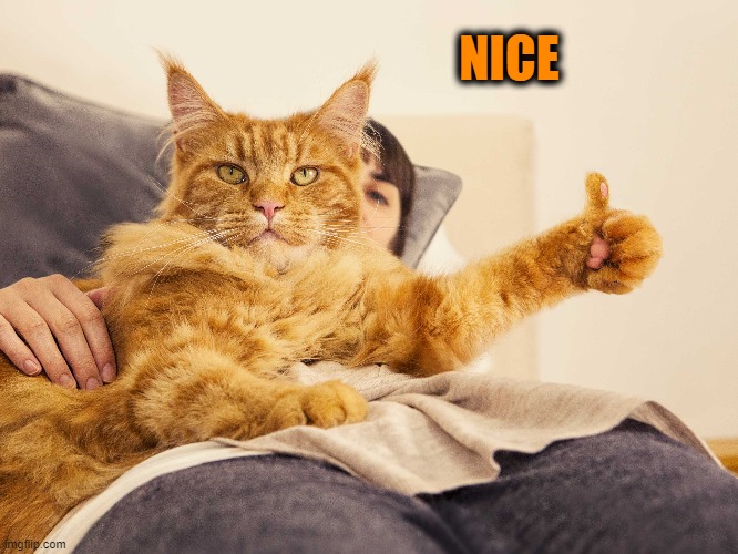 NICE | made w/ Imgflip meme maker