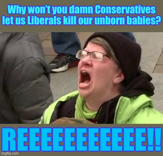 Screaming Libtard  | REEEEEEEEEEE!! Why won’t you damn Conservatives let us Liberals kill our unborn babies? | image tagged in screaming libtard | made w/ Imgflip meme maker