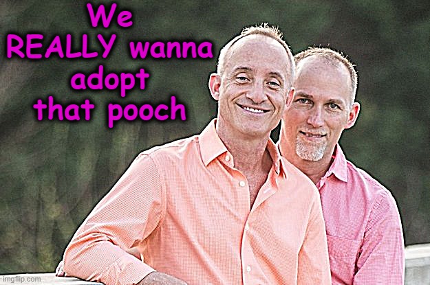 We REALLY wanna adopt that pooch | made w/ Imgflip meme maker