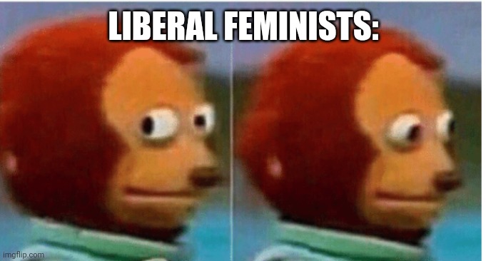feel guilty | LIBERAL FEMINISTS: | image tagged in feel guilty | made w/ Imgflip meme maker