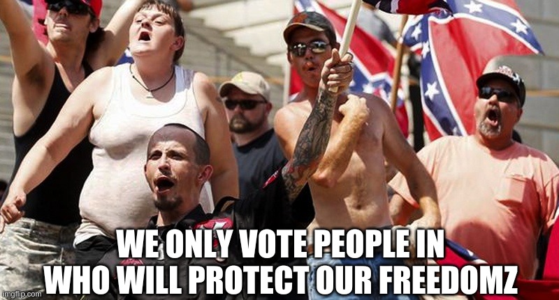 Confederate Flag Supporters | WE ONLY VOTE PEOPLE IN WHO WILL PROTECT OUR FREEDOMZ | image tagged in confederate flag supporters | made w/ Imgflip meme maker