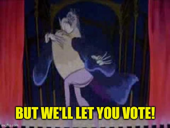 BUT WE'LL LET YOU VOTE! | made w/ Imgflip meme maker
