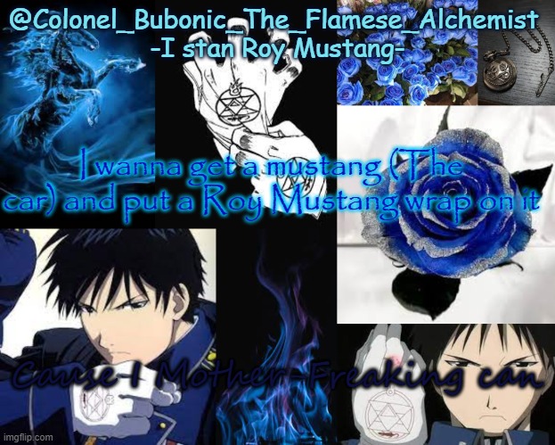 Roy Tempo again | I wanna get a mustang (The car) and put a Roy Mustang wrap on it; Cause I Mother-Freaking can | image tagged in roy tempo again | made w/ Imgflip meme maker