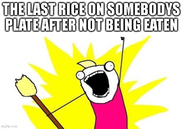 X All The Y | THE LAST RICE ON SOMEBODYS PLATE AFTER NOT BEING EATEN | image tagged in memes,x all the y | made w/ Imgflip meme maker