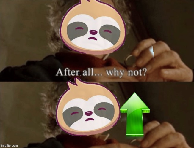 Sloth after all why not Blank Meme Template