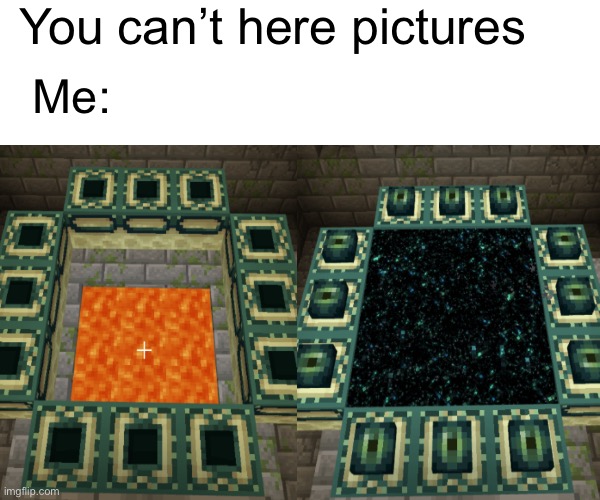 I can hear pictures | You can’t here pictures; Me: | image tagged in minecraft,end portal | made w/ Imgflip meme maker