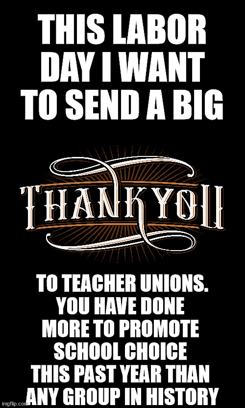 Unions Suck | THIS LABOR DAY I WANT TO SEND A BIG; TO TEACHER UNIONS.
YOU HAVE DONE 
MORE TO PROMOTE 
SCHOOL CHOICE 
THIS PAST YEAR THAN 
ANY GROUP IN HISTORY | image tagged in stupid liberals | made w/ Imgflip meme maker