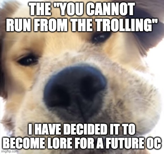 Doggo bruh | THE "YOU CANNOT RUN FROM THE TROLLING"; I HAVE DECIDED IT TO BECOME LORE FOR A FUTURE OC | image tagged in doggo bruh | made w/ Imgflip meme maker