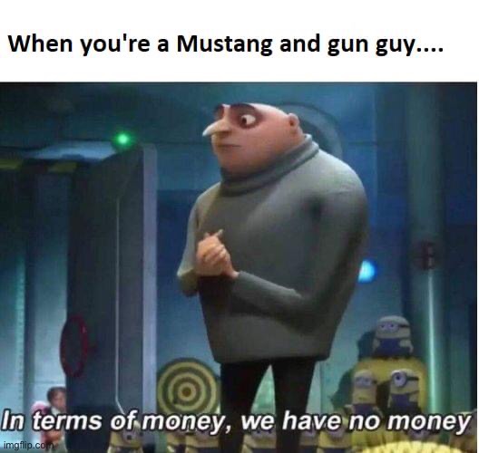 image tagged in ford mustang,guns,in terms of money we have no money | made w/ Imgflip meme maker